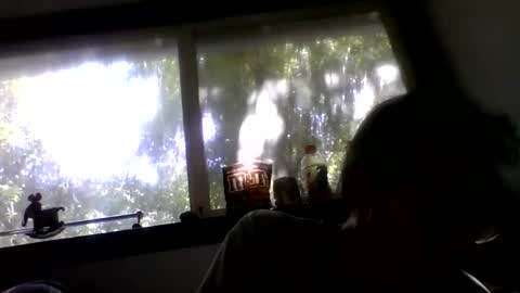 Snapshot of royboy2561 chatting on 05.26.26 Roy Murrin online show from 05.26.26