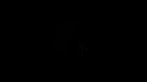 royce888 online show from 11.16.25