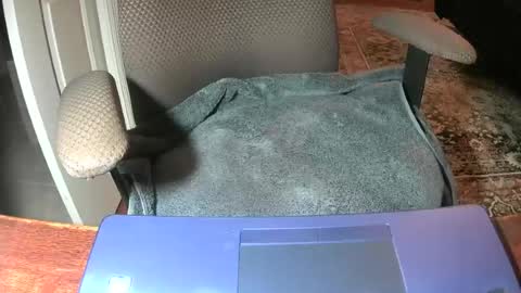 Snapshot of royer8650 chatting on 06.22.26 Lookingaround online show from 06.22.26