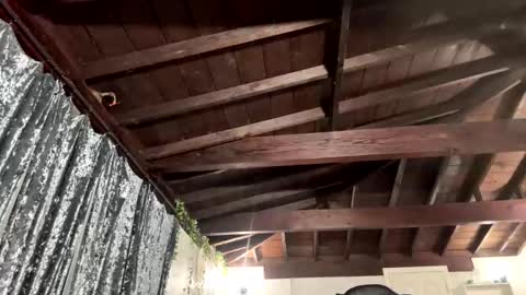 Richhancocc online show from 01.19.26