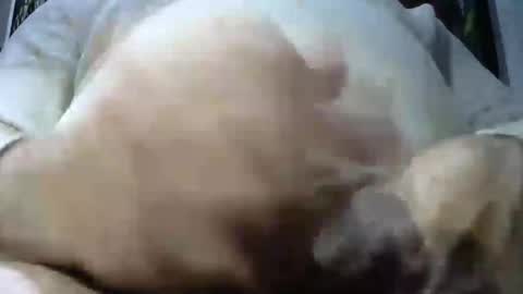 ruggy35 online show from 12.07.24