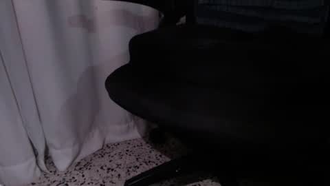 rx7900xtx online show from 12.04.25