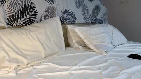 ryanstorm1 online show from 02.07.26