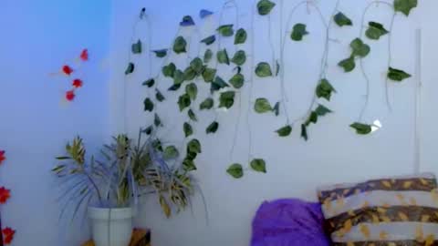 Snapshot of sabrinaexpositoxx chatting on 02.22.26 SABRI online show from 02.22.26