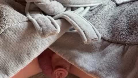 saconuts online show from 02.13.26