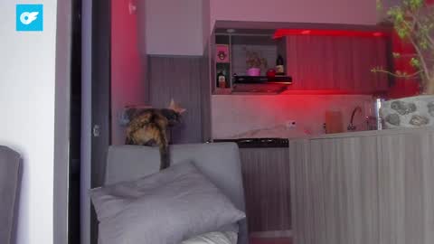 Snapshot of sag_1998 chatting on 01.21.25 Sag online show from 01.21.25