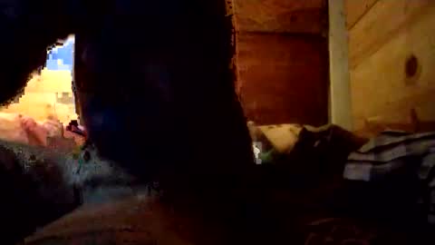 Snapshot of salido543 chatting on 12.14.25 Penoso online show from 12.14.25