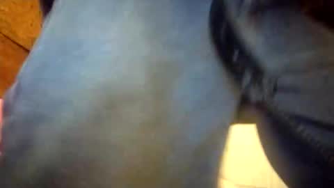 Snapshot of salido543 chatting on 12.23.25 Penoso online show from 12.23.25