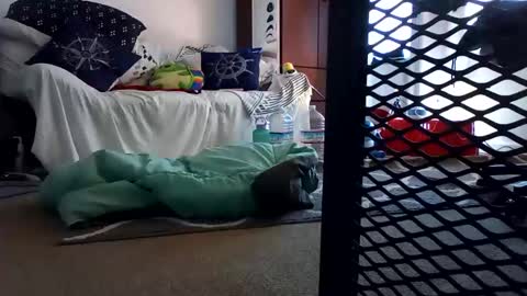 Snapshot of salis1981 chatting on 02.07.25 salis1981 online show from 02.07.25