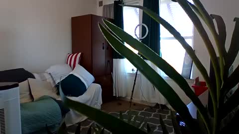 Snapshot of salis1981 chatting on 03.03.25 salis1981 online show from 03.03.25