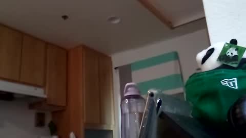 Snapshot of salis1981 chatting on 09.18.25 salis1981 online show from 09.18.25