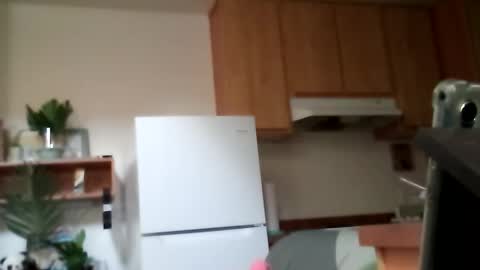 Snapshot of salis1981 chatting on 10.13.25 salis1981 online show from 10.13.25