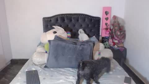 yenny online show from 01.06.26