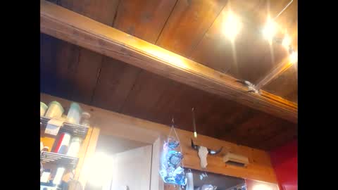 salsapaulus online show from 04.13.26