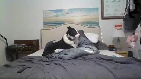 Snapshot of salsbud2022 chatting on 02.28.25 salsbud2022 online show from 02.28.25