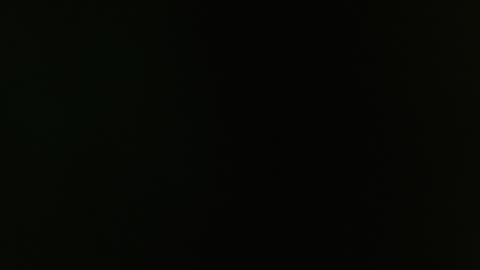 SAM AND BRENDA online show from 12.30.24