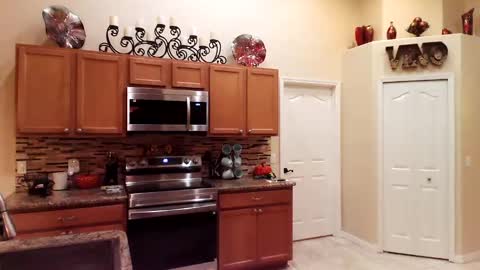 sam_papithebarber online show from 11.15.25