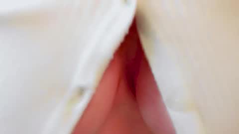 Andy online show from 10.17.25