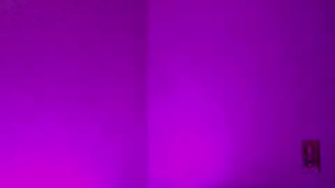 Sam Demia online show from 12.27.24