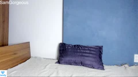 Snapshot of samgorgeous chatting on 12.03.24 Fansly - Top4fans online show from 12.03.24