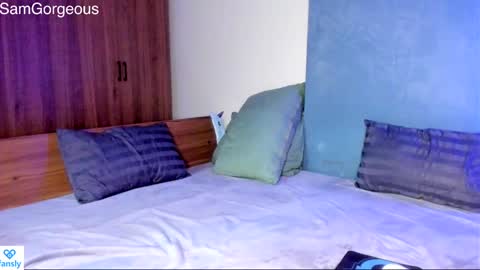 Snapshot of samgorgeous chatting on 01.06.25 Fansly - Top4fans online show from 01.06.25