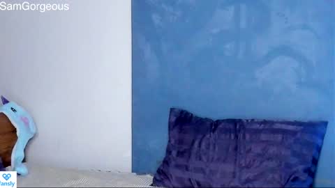 Snapshot of samgorgeous chatting on 01.30.25 Fansly - Top4fans online show from 01.30.25