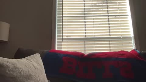 Snapshot of sammieplays chatting on 01.18.26 Playful Sammie online show from 01.18.26