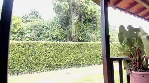 Snapshot of samuel_obrian chatting on 12.12.24 Samuel online show from 12.12.24