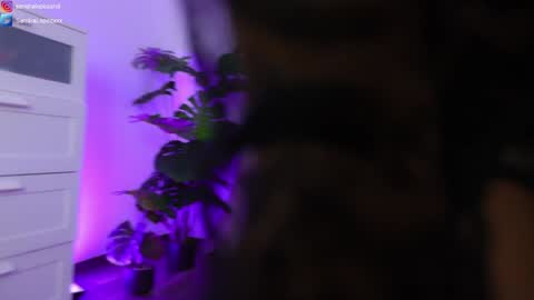 Sandra online show from 01.23.25