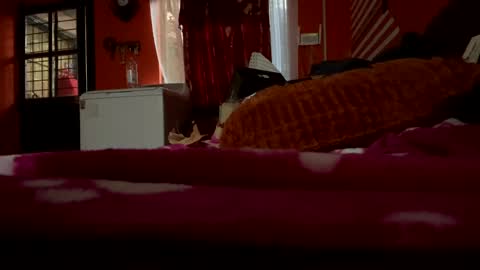 Snapshot of sans_976802 chatting on 02.21.25 sans_976802 online show from 02.21.25