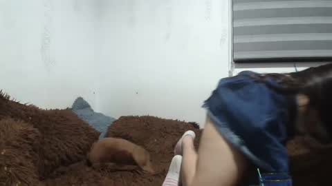 sara and thomas online show from 01.12.25