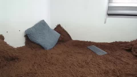 sara and thomas online show from 02.26.25