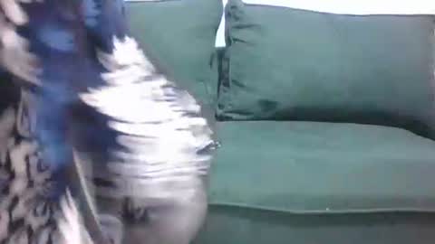 sarah_haggai online show from 11.04.25