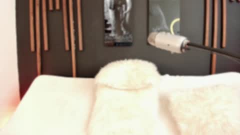     online show from 12.09.24