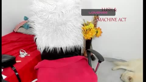 Snapshot of sarah_sweett chatting on 05.15.26 Sarah online show from 05.15.26