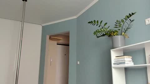 Sasha online show from 02.01.25