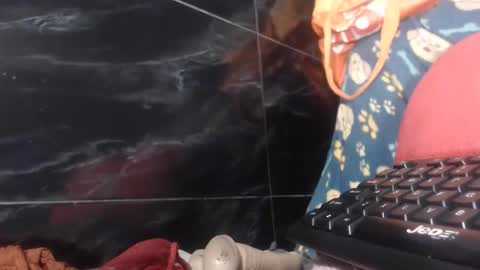 sasha online show from 02.02.26