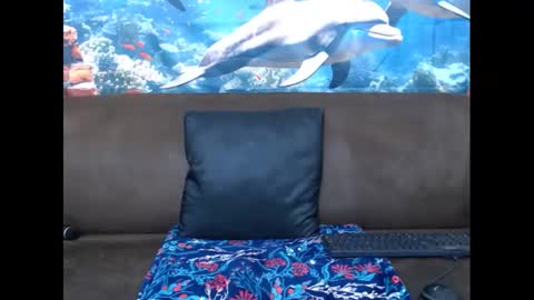 sasyylissaa online show from 03.03.25