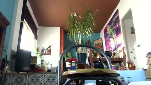 satur850 online show from 12.05.24