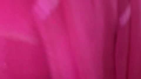 Anjali online show from 03.11.26