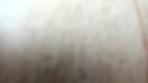 Snapshot of sayo_mao18 chatting on 09.24.25 sayo_mao18 online show from 09.24.25