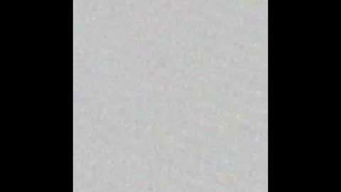 Venus online show from 11.16.25