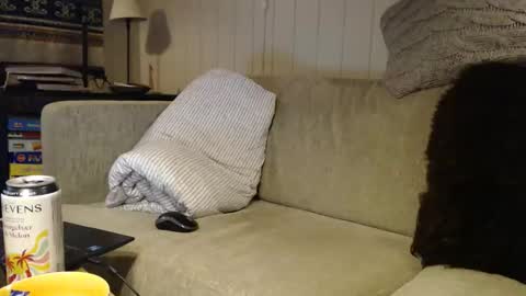 Scand online show from 03.01.26