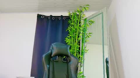 Denis online show from 12.02.25