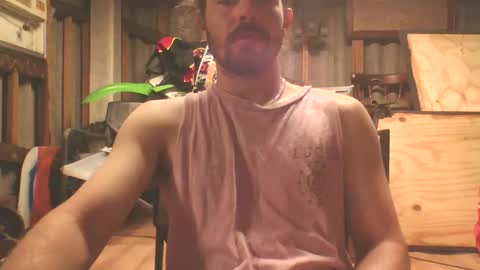 scincere369 online show from 03.01.26