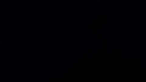 . online show from 01.03.25