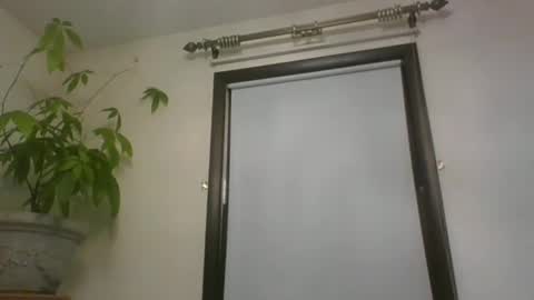 scottpbi52 online show from 12.22.24