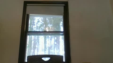 scottpbi52 online show from 02.15.25