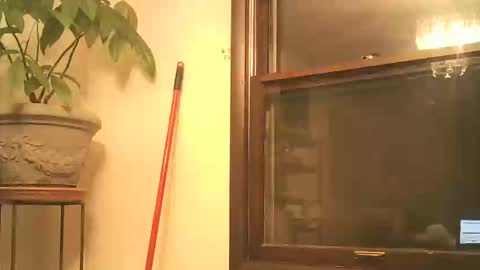 scottpbi52 online show from 09.28.25