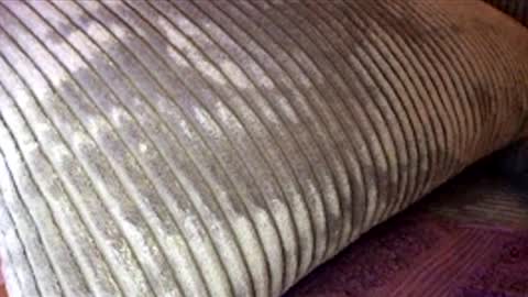 scotty2hotty46_ online show from 02.21.26